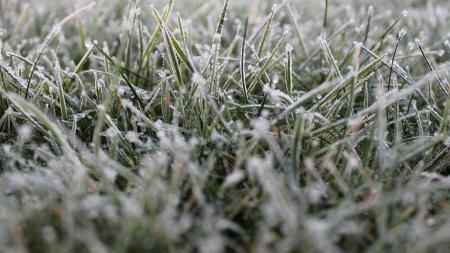 Čeká nás v únoru pravá zima? Meteorologové zveřejnili předpověď