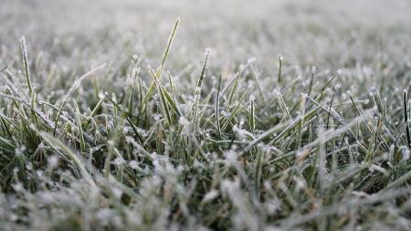 Chladné středeční ráno. Na Kvildě klesly teploty pod bod mrazu