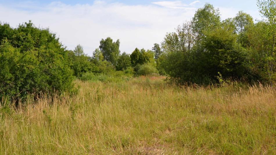 Rokycany se dočkají pumptracku, město počítá také s vybudováním části cysklostezky