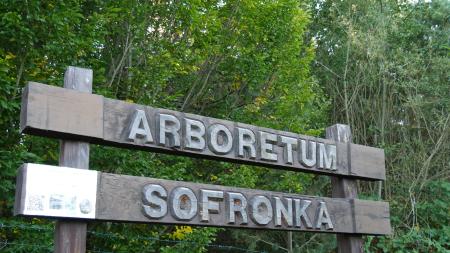 Arboretum Sofronka je domovem světové sbírky borovic. Vydejte se na prohlídku a křest knihy