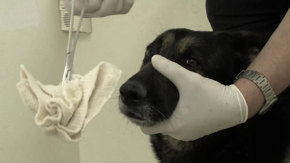 Finále Plzeň pokračuje, dorazí další hvězdy. Na jaké filmy můžete vidět v pondělí?