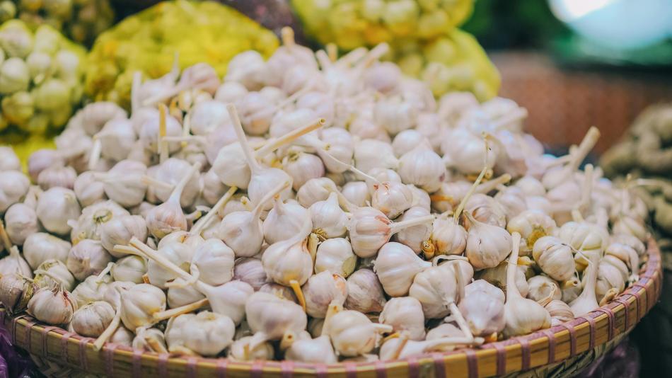 Farmářské trhy u Tržnice nabídnou česnek, brambory i rybí speciality