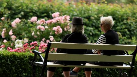 Možnosti úprav českého důchodového systému – jednoduchá matematika