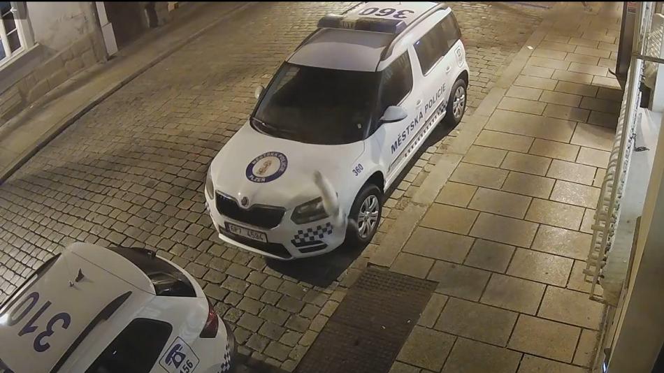 Zběsilý seskok! Kočka promáčkla kapotu auta městské policie