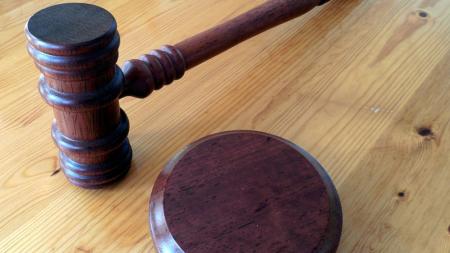 Exposlanci Škárkovi soud za výroky o nedonošených dětech snížil podmíněný trest