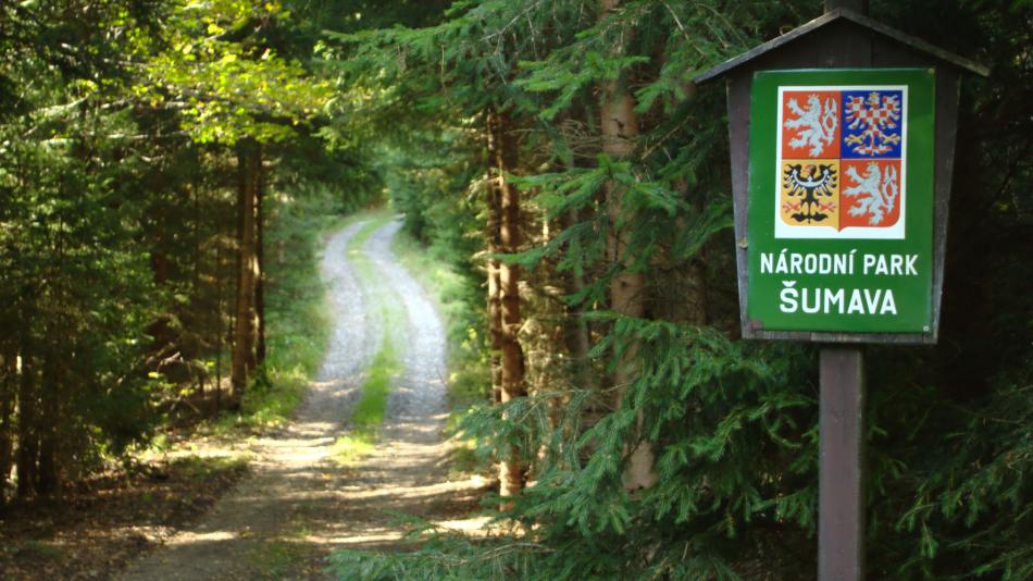 Národní park Šumava pořídí kamery pro všechny strážce v terénu, nahrají jednání s turisty