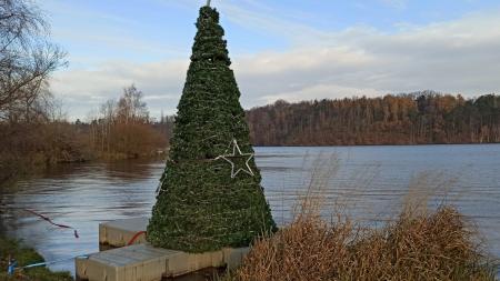 Hladinu Borské přehrady opět rozzáří plovoucí strom