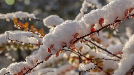 Zasype hory sníh? Meteorologové to v dalších dnech nevylučují