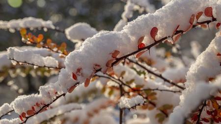 Jaké počasí přinese advent? Meteorologové čekají zlom