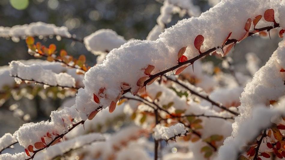 Sníh nebo déšť? Počasí na Štědrý den ještě meteorologové neodhadnou