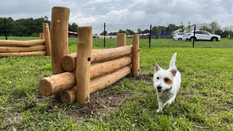 V Plzni na Doubravce otevřeli první psí hřiště