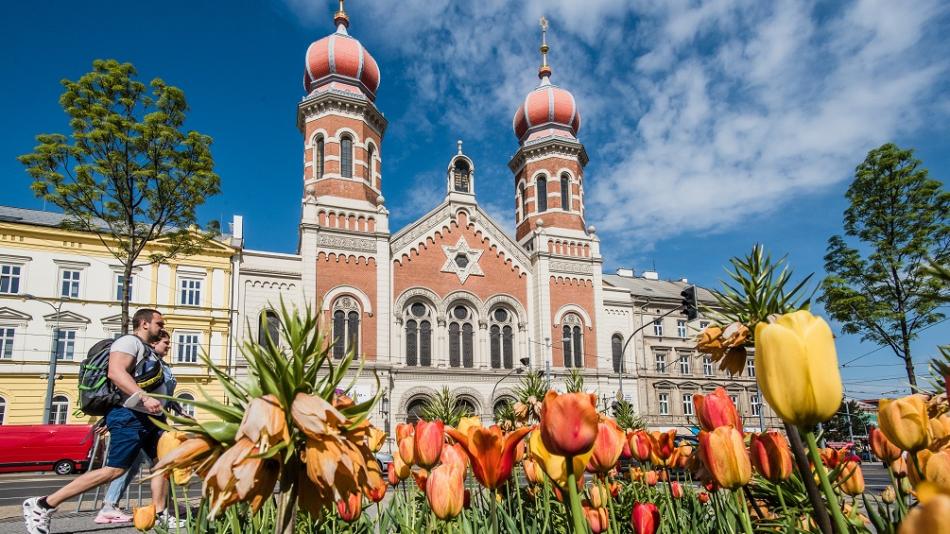 Květinová Plzeň. Tulipány v centru vystřídaly letničky