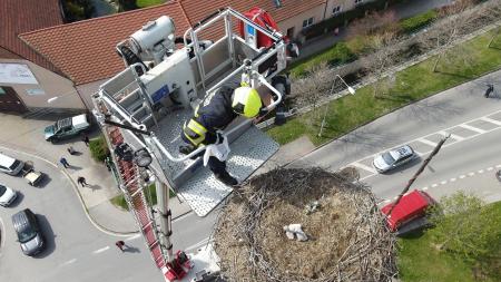 Čápa zabil elektrický výboj, mláďata museli vyprošťovat z komína hasiči a zvířecí záchranáři