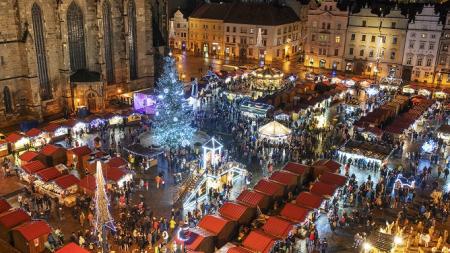 Plzeň hledá svůj letošní vánoční strom!