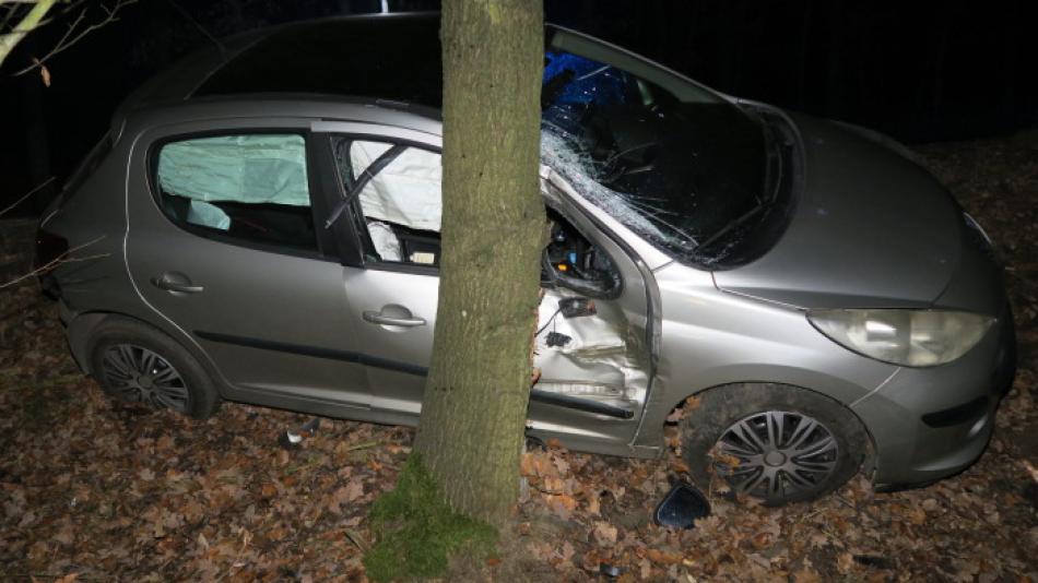 Opilý řidič skončil s autem ve stromě