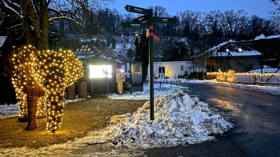 Plzeňská zoo se chystá na Vánoce. Zlevní vstupné