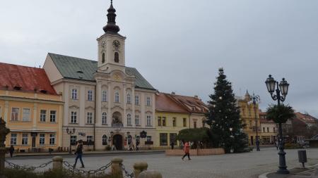 Rokycany hledají vánoční strom, má jít o jedli nebo smrk