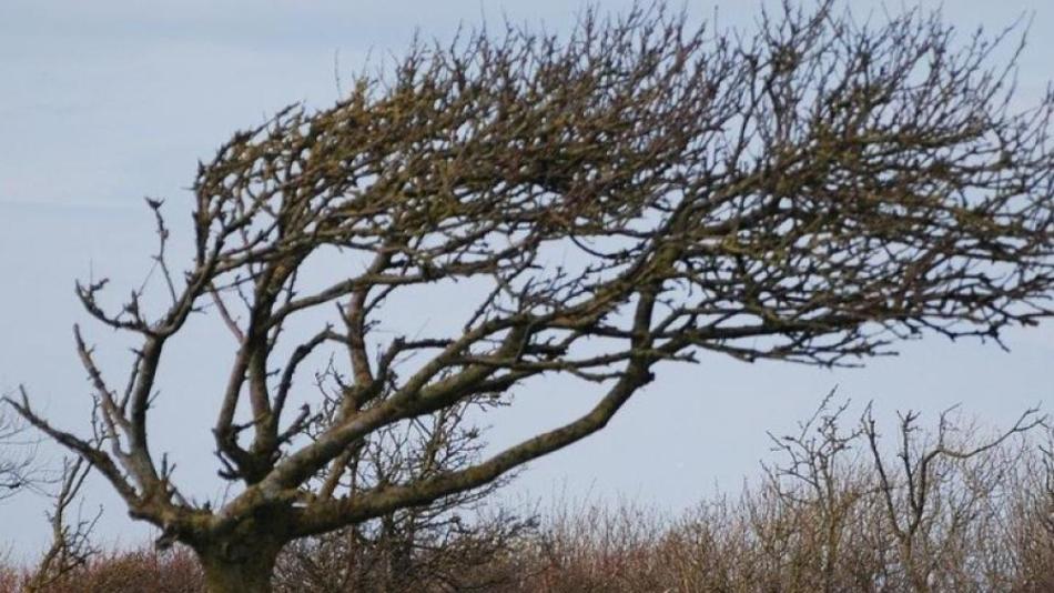 Meteorologové varují: Česko znovu zasáhne silný vítr