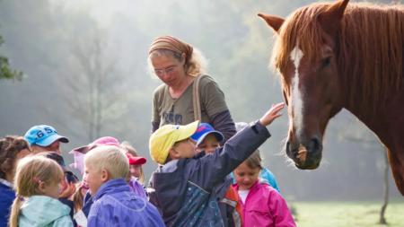 Karlovarský kraj v letošním roce znovu podpoří exkurze školáků do ekofarem