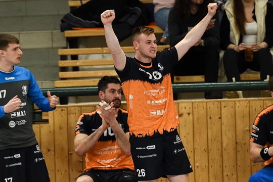 Naděje do odvety. Házenkáři vezou ze Švédska remízu