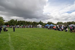 Plzeň bude v sobotu patřit pejskům!