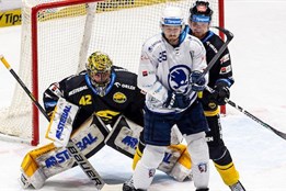 O tři body Plzeň přišla těsně před koncem, z Litvínova veze alespoň...