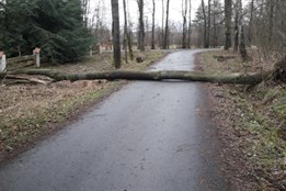 Hasiči v kraji na Štědrý den evidovali více než sto zásahů. Ani...