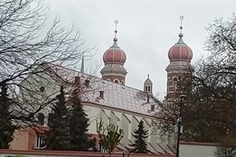 Jak se bude bavit Plzeň během pracovního týdne?