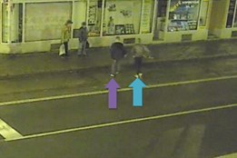 Policie pátrá po dvou mužích, kteří se v Plzni dopustili fyzického...