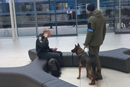 Zpočátku se jednalo o výcvik policejních psů, ten se proměnil v...