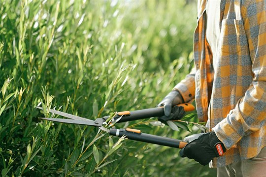 Doba jarního úklidu zahrad je tu. Kam v Tachově s posečenou trávou, listím či větvemi?