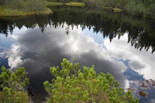 Je sucho, platí zákaz splouvání Teplé Vltavy! Situace bude pravděpodobně horší než před 10 lety, varuje Správa NP Šumava