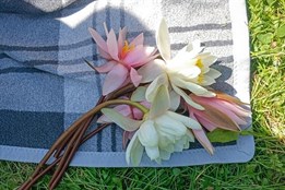 Romantické gesto se zamilovanému muži nevyplatilo