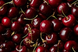 Třešně chutnají nejlépe ze stromu. Ale pozor, ať vám po nich není...