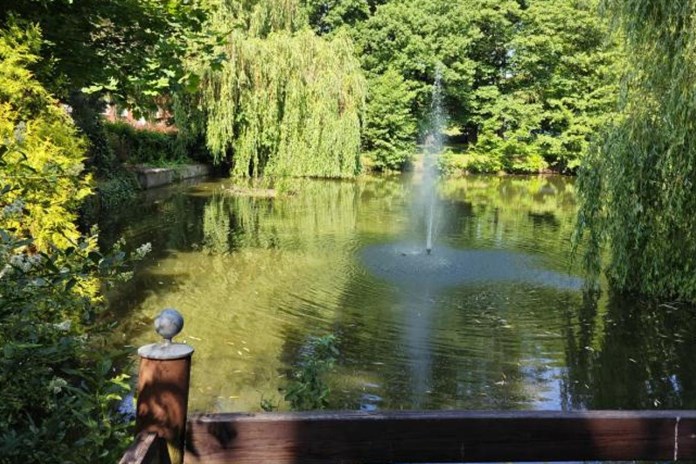 Domažlice plánují úpravy Hanova parku, začínají rozborem půdy pro uložení sedimentu