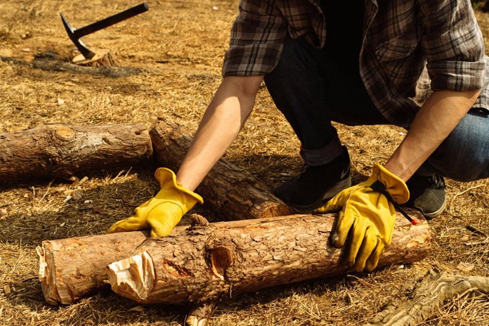 Olga Walló: Stará žena přemýšlí o mladých mužích, aneb Je práce radost?