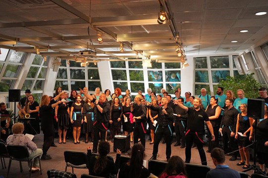 Pilsen Voice pořádá v neděli další ročník festivalu Hudba je lék