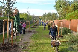 V letošních kolech grantu Stromy uspěly 4 projekty v Plzeňském a 2...