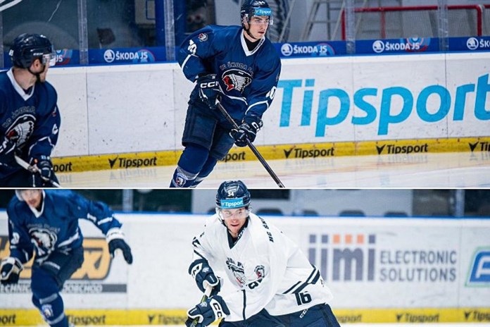 Hokejová Plzeň čítá ztráty, přišla o klíčového reprezentačního beka i nadějného mladíka