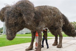 Do Zlína dorazil ikonický Vulpes Gott