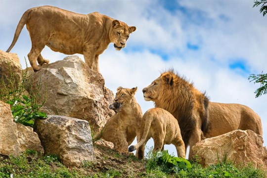 Zoo Zlín je podle hodnocení návštěvníků nejlepší zoo v ČR. Překonala i Prahu