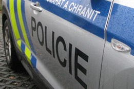 VIDEO: Policisté dopadli útočníka, který v Plzni napadl mladého muže