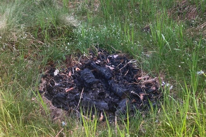 Ať Šumava shoří? Strážci NP Šumava letos likvidovali čtyřicítku nelegálních ohnišť!