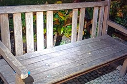 Střepy z lahví, poškozené lavičky. V Křižíkových sadech řádila...