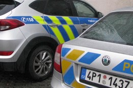 Řidič se vyhýbal autu, vjel na tramvajový ostrůvek a srazil ženu a...