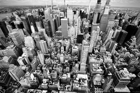 Olga Walló: Cestičkami zvěře s vysvětlivkami