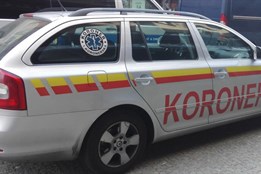 Tragédie na Tachovsku. Myslivec při honu omylem zastřelil kolegu