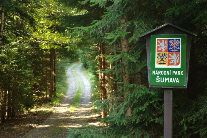 Omezte vstupy do lesů v NP a CHKO Šumava, žádá správa parku