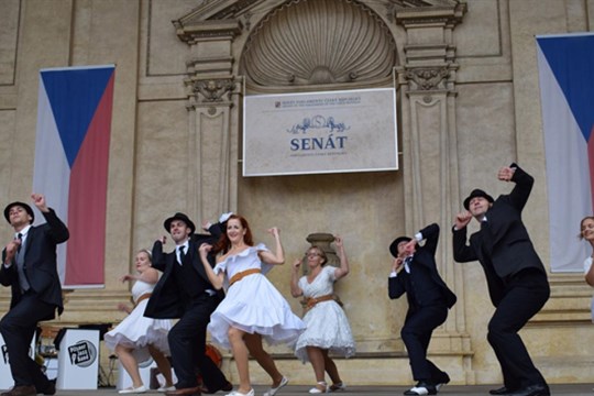 Plzeň míří do Senátu. Představí hudbu, animaci, výstavu, bednáře i pivo
