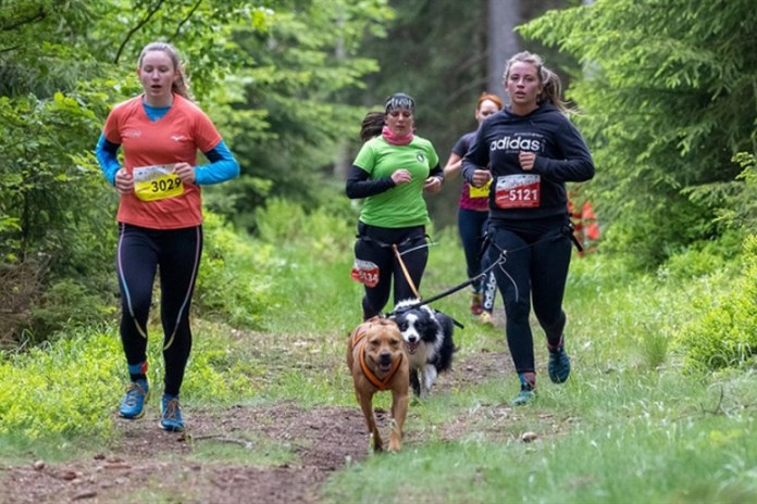 První závod seriálu Leskros Chariťák se běží již v neděli na Kamenném rybníce